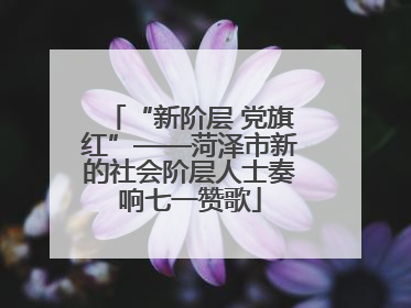 “新阶层 党旗红”——菏泽市新的社会阶层人士奏响七一赞歌