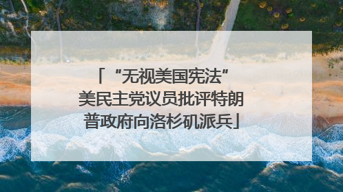 “无视美国宪法” 美民主党议员批评特朗普政府向洛杉矶派兵