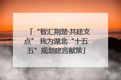 “智汇荆楚·共建支点” 我为湖北“十五五”规划建言献策