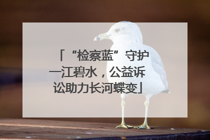 “检察蓝”守护一江碧水，公益诉讼助力长河蝶变