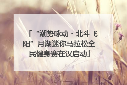 “潮势咏动・北斗飞阳”月湖迷你马拉松全民健身赛在汉启动