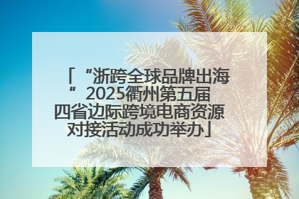 “浙跨全球品牌出海”2025衢州第五届四省边际跨境电商资源对接活动成功举办