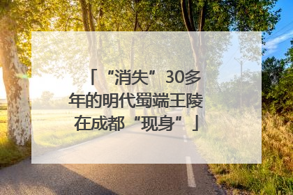 “消失”30多年的明代蜀端王陵在成都“现身”