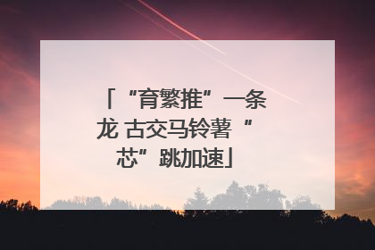 “育繁推”一条龙 古交马铃薯“芯”跳加速