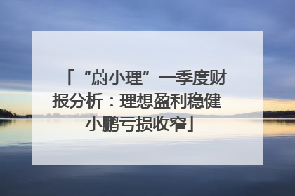“蔚小理”一季度财报分析：理想盈利稳健 小鹏亏损收窄