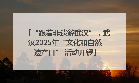 “跟着非遗游武汉”，武汉2025年“文化和自然遗产日” 活动开锣