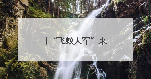“飞蚁大军”来了，如何防？