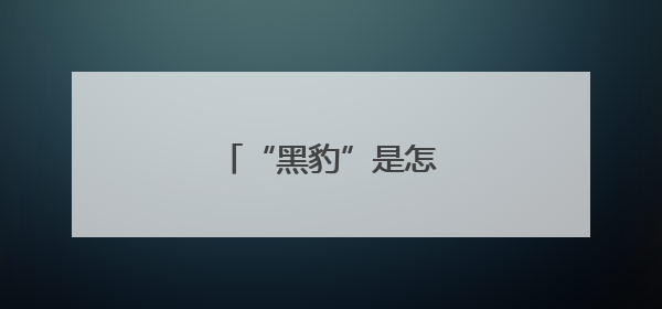 “黑豹”是怎样炼成的？