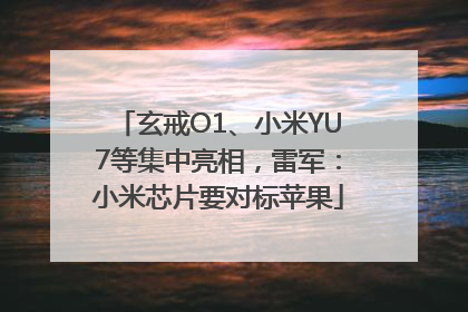 玄戒O1、小米YU7等集中亮相，雷军：小米芯片要对标苹果