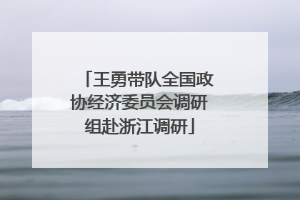 王勇带队全国政协经济委员会调研组赴浙江调研
