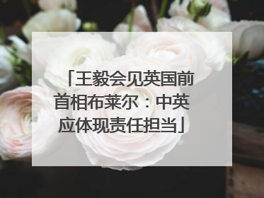 王毅会见英国前首相布莱尔：中英应体现责任担当
