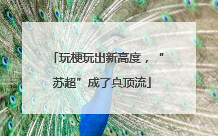 玩梗玩出新高度，“苏超”成了真顶流
