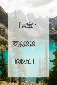 灵宝：麦浪滚滚抢收忙