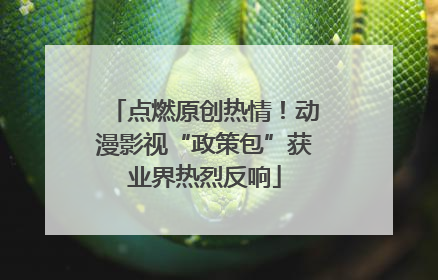 点燃原创热情！动漫影视“政策包”获业界热烈反响