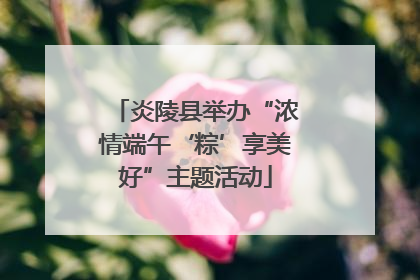 炎陵县举办“浓情端午‘粽’享美好”主题活动