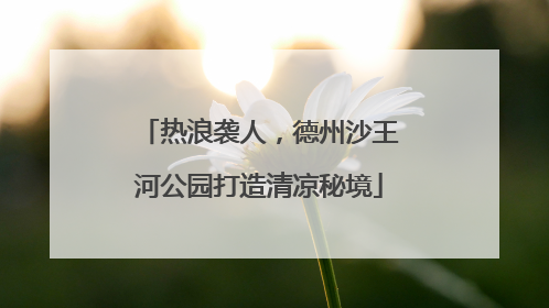 热浪袭人，德州沙王河公园打造清凉秘境
