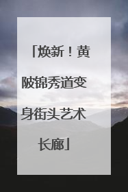焕新！黄陂锦秀道变身街头艺术长廊
