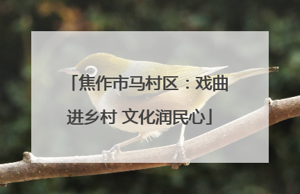 焦作市马村区：戏曲进乡村 文化润民心