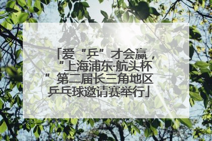 爱“乒”才会赢，“上海浦东·航头杯”第二届长三角地区乒乓球邀请赛举行