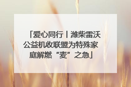 爱心同行丨潍柴雷沃公益机收联盟为特殊家庭解燃“麦”之急