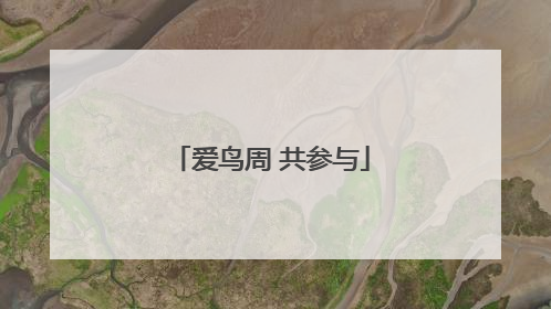 爱鸟周 共参与