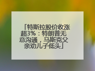 特斯拉股价收涨超3%：特朗普无意沟通，马斯克父亲劝儿子低头