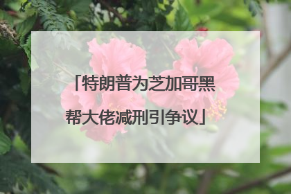 特朗普为芝加哥黑帮大佬减刑引争议