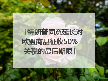 特朗普同意延长对欧盟商品征收50%关税的最后期限