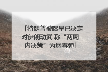 特朗普被曝早已决定对伊朗动武 称“两周内决策”为烟雾弹