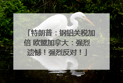 特朗普：钢铝关税加倍 欧盟加拿大：强烈遗憾！强烈反对！