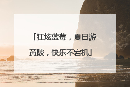 狂炫蓝莓，夏日游黄陂，快乐不宕机