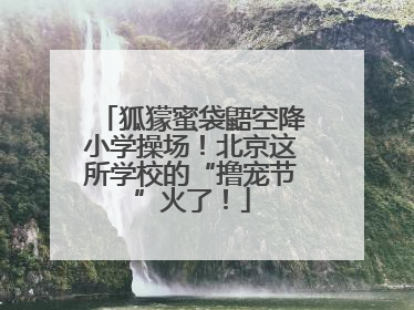 狐獴蜜袋鼯空降小学操场！北京这所学校的“撸宠节”火了！