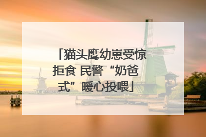 猫头鹰幼崽受惊拒食 民警“奶爸式”暖心投喂