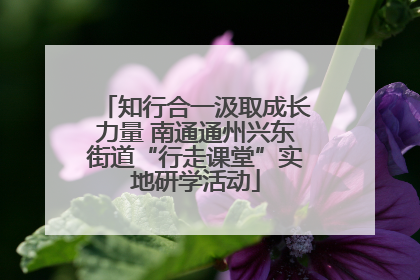 知行合一汲取成长力量 南通通州兴东街道“行走课堂”实地研学活动
