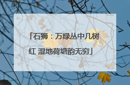 石狮：万绿丛中几树红 湿地荷塘韵无穷