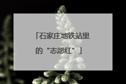 石家庄地铁站里的“志愿红”