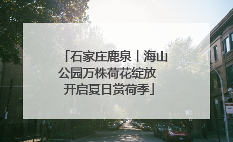 石家庄鹿泉丨海山公园万株荷花绽放 开启夏日赏荷季