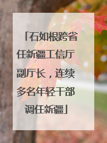 石如根跨省任新疆工信厅副厅长，连续多名年轻干部调任新疆