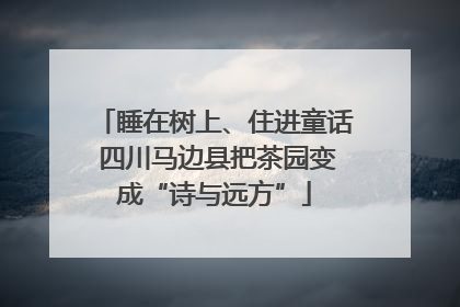睡在树上、住进童话 四川马边县把茶园变成“诗与远方”