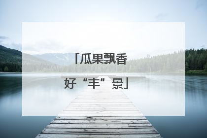 瓜果飘香 好“丰”景