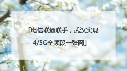 电信联通联手，武汉实现4/5G全频段一张网