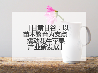 甘肃甘谷：以苗木繁育为支点 撬动花牛苹果产业新发展