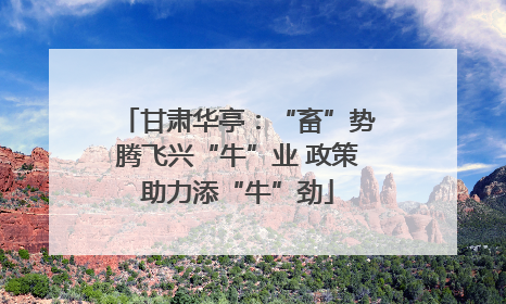 甘肃华亭：“畜”势腾飞兴“牛”业 政策助力添“牛”劲