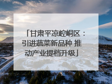甘肃平凉崆峒区：引进蔬菜新品种 推动产业提档升级