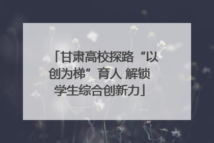 甘肃高校探路“以创为梯”育人 解锁学生综合创新力