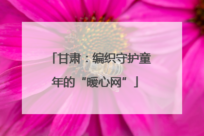 甘肃：编织守护童年的“暖心网”