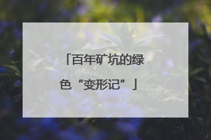 百年矿坑的绿色“变形记”