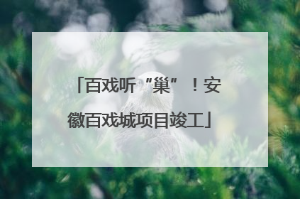 百戏听“巢”！安徽百戏城项目竣工