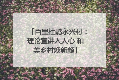 百里杜鹃永兴村：理论宣讲入人心 和美乡村焕新颜