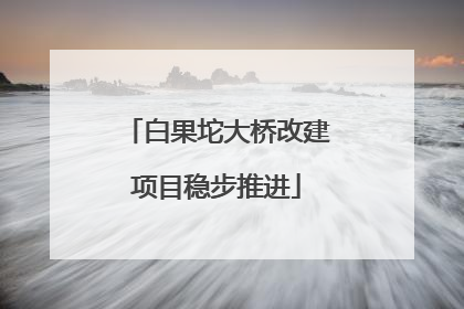 白果坨大桥改建项目稳步推进